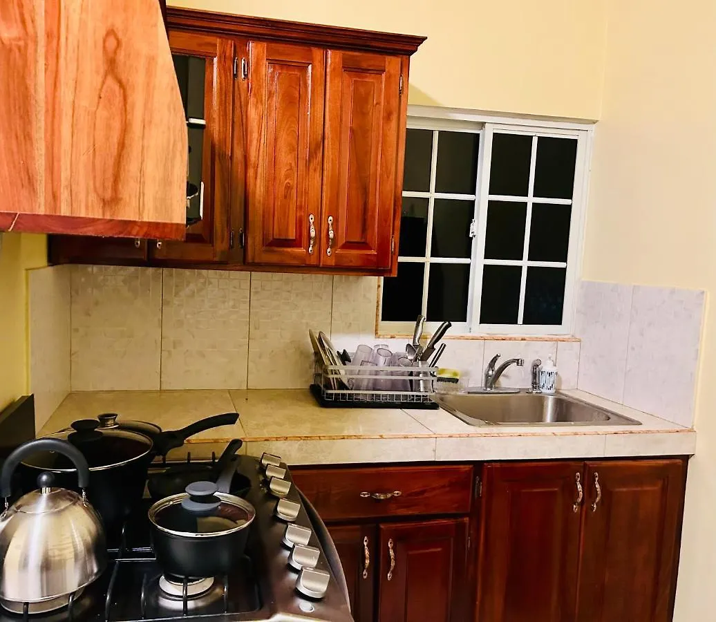 The Rest Stop-B- 15 Min From Airport/24Hrs Security Montego Bay Lejlighed